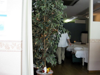 IMG_0142.JPG