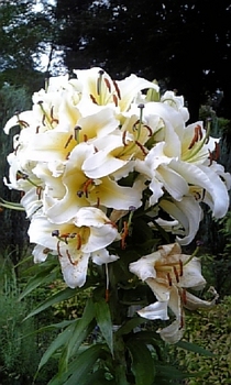 2009 09 08_0735.jpg