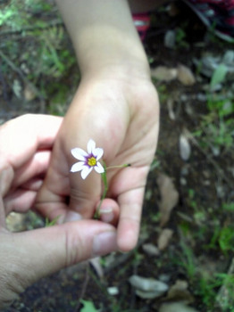 2009 09 08_0566.JPG
