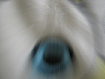 f0177670_5204172.jpg