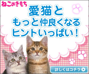 ヒトと愛猫の生活情報誌「ねこのきもち」