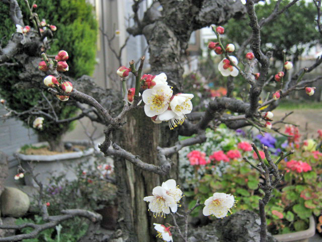 01 28 10_2211_edited-1.JPG