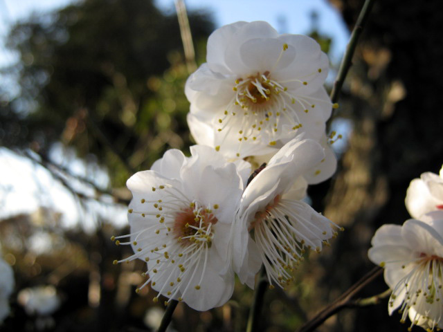 01 25 10_2166_edited-1.JPG