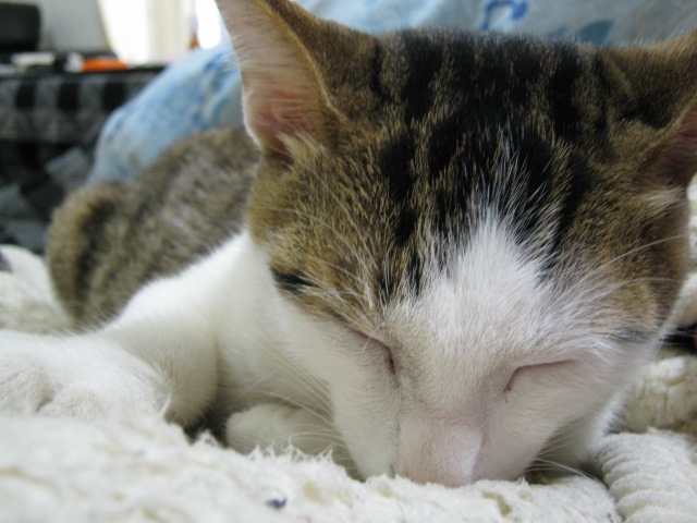 01 13 10_1940.JPG