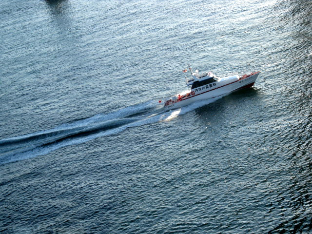 01 02 10_1849_edited-1.JPG