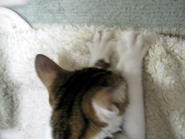 01 15 10_2036_edited-1.JPG