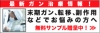 ガンの特効薬、無料ですので、是非、請求を