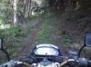バイク慣らしに林道へ